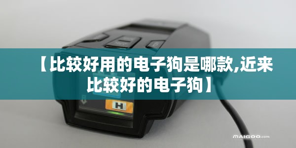 【比较好用的电子狗是哪款,近来比较好的电子狗】 【比较好用的电子狗是哪款,近来比较好的电子狗】