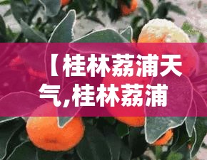 【桂林荔浦天气,桂林荔浦天气预报】