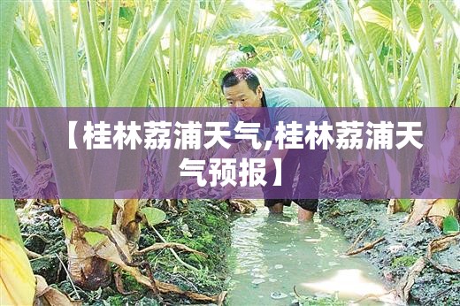 【桂林荔浦天气,桂林荔浦天气预报】