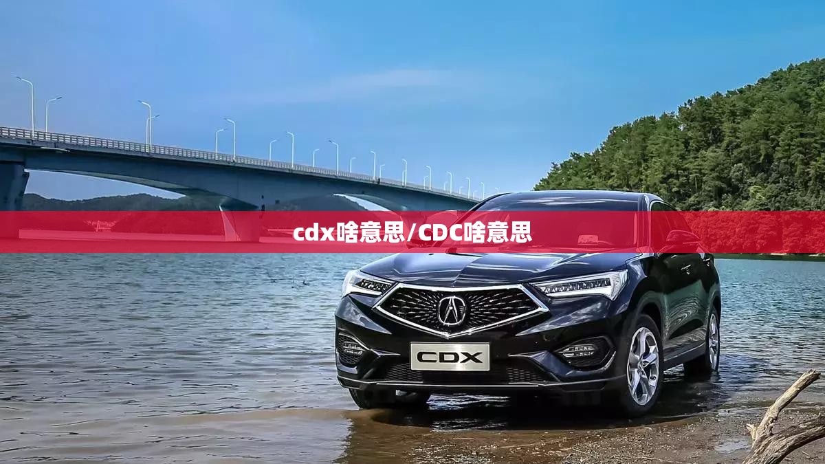 cdx啥意思/CDC啥意思