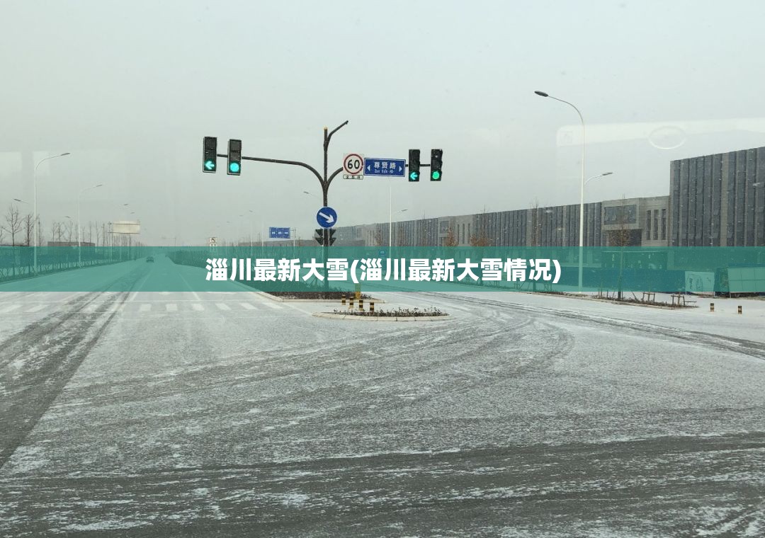 淄川最新大雪(淄川最新大雪情况)