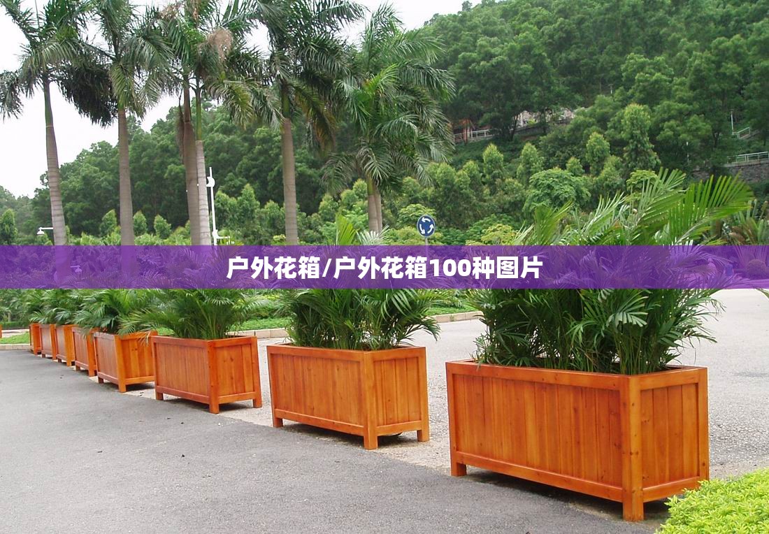 户外花箱/户外花箱100种图片