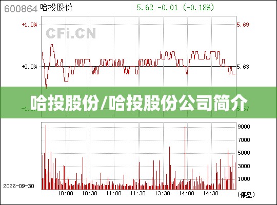 哈投股份/哈投股份公司简介