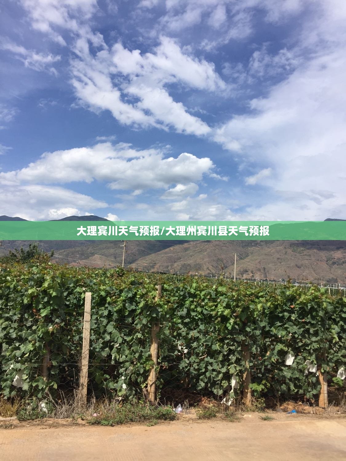 大理宾川天气预报/大理州宾川县天气预报