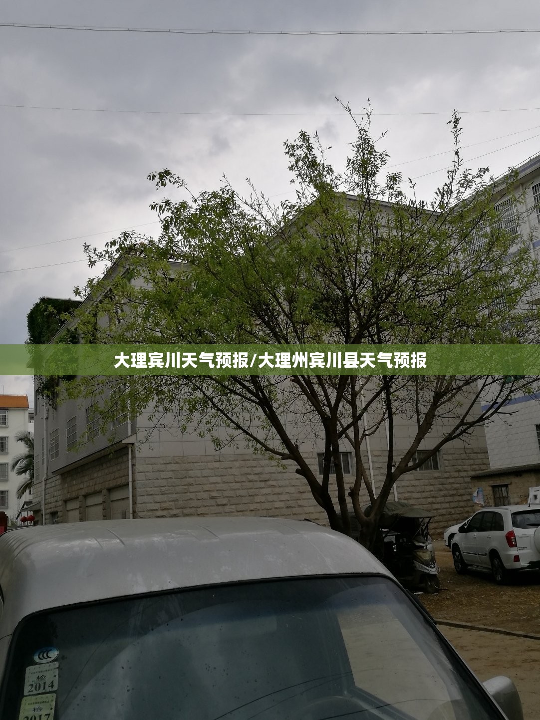 大理宾川天气预报/大理州宾川县天气预报