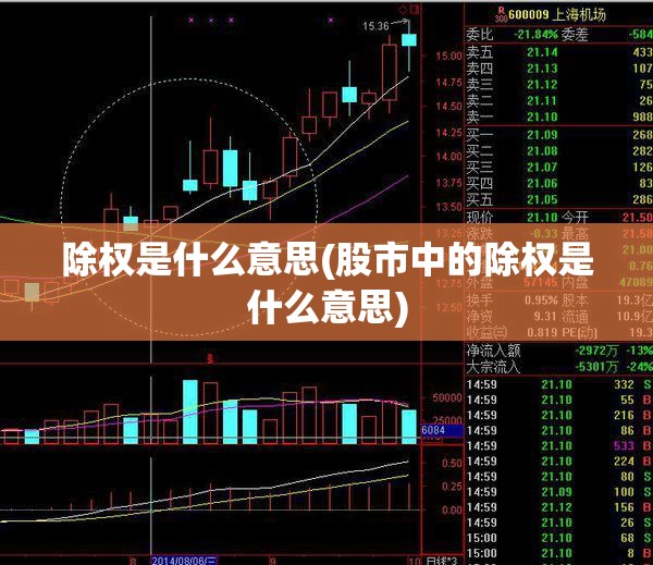 除权是什么意思(股市中的除权是什么意思)