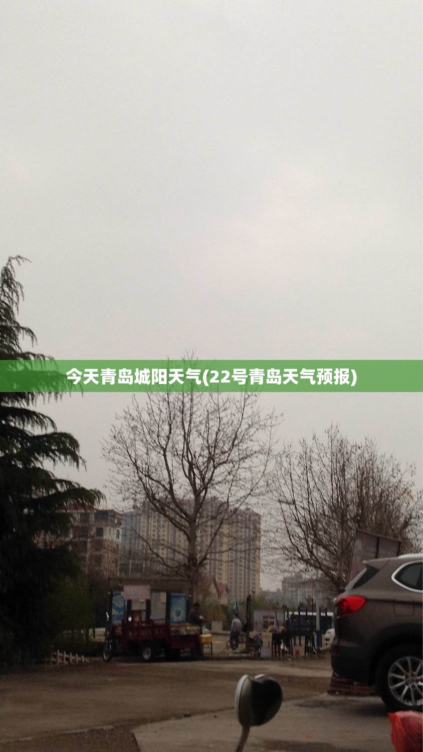 今天青岛城阳天气(22号青岛天气预报)