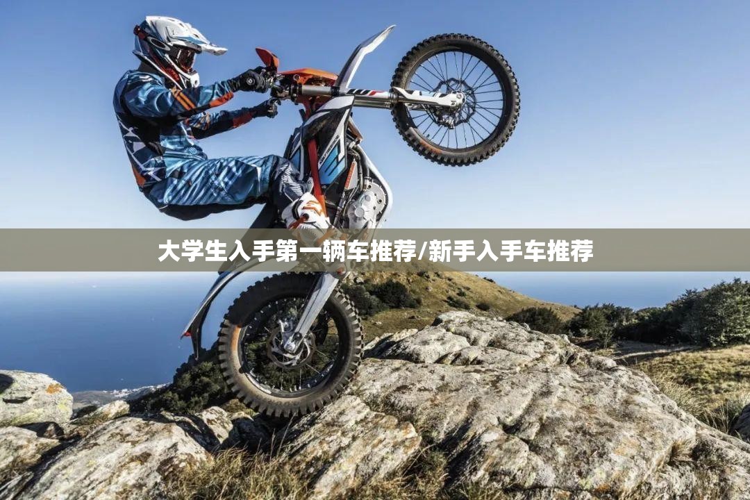 大学生入手第一辆车推荐/新手入手车推荐