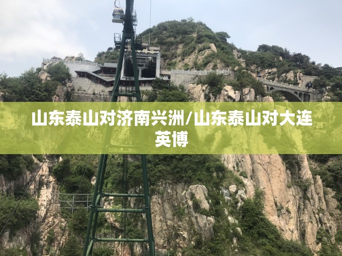 山东泰山对济南兴洲/山东泰山对大连英博 山东泰山对济南兴洲/山东泰山对大连英博