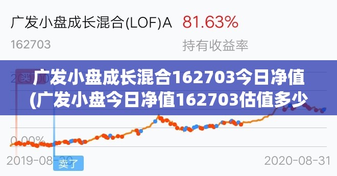 广发小盘成长混合162703今日净值(广发小盘今日净值162703估值多少)