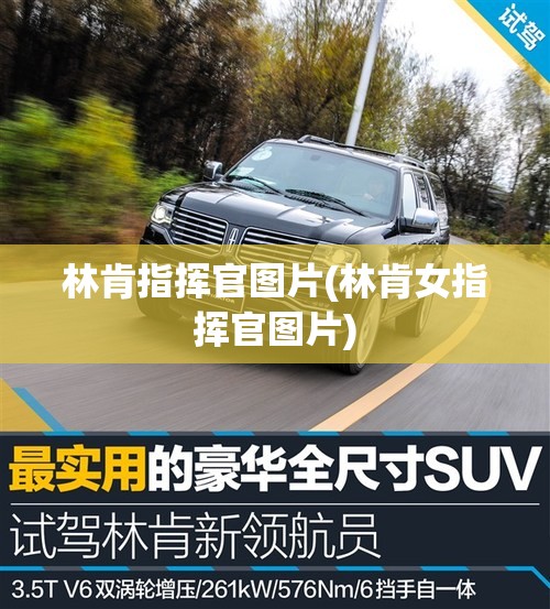 林肯指挥官图片(林肯女指挥官图片)