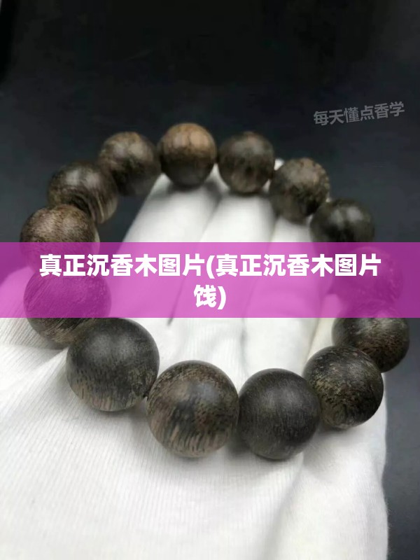 真正沉香木图片(真正沉香木图片饯) 真正沉香木图片(真正沉香木图片饯)