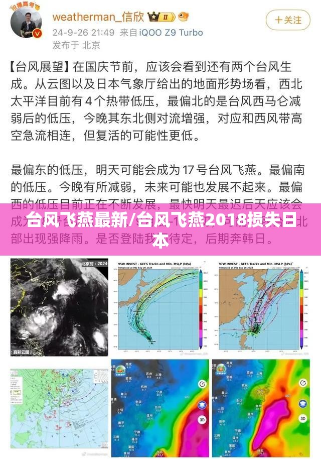 台风飞燕最新/台风飞燕2018损失日本