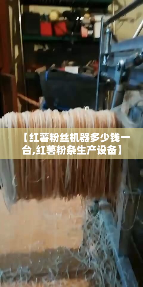 【红薯粉丝机器多少钱一台,红薯粉条生产设备】 【红薯粉丝机器多少钱一台,红薯粉条生产设备】