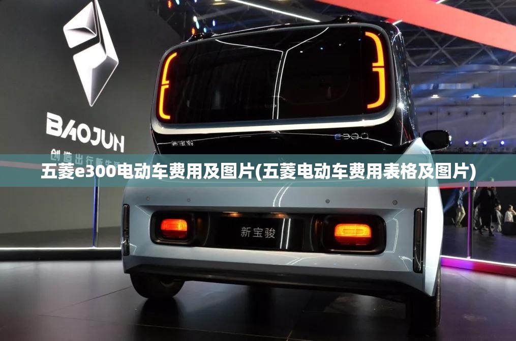 五菱e300电动车费用及图片(五菱电动车费用表格及图片)