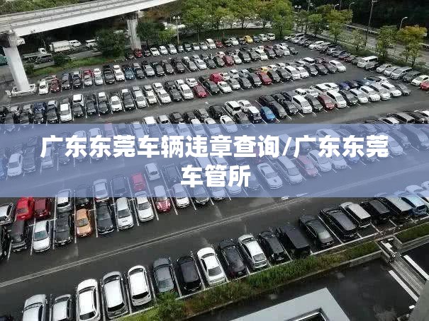 广东东莞车辆违章查询/广东东莞车管所