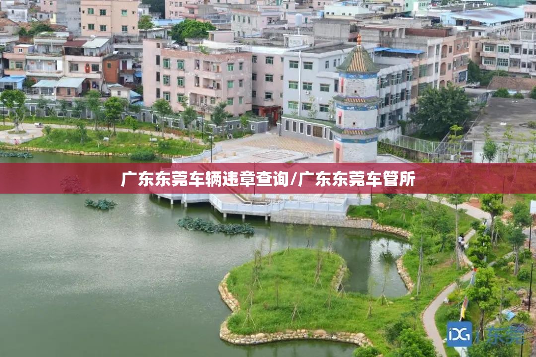 广东东莞车辆违章查询/广东东莞车管所