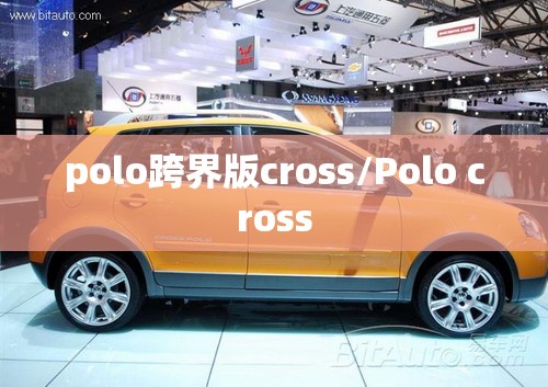 polo跨界版cross/Polo cross