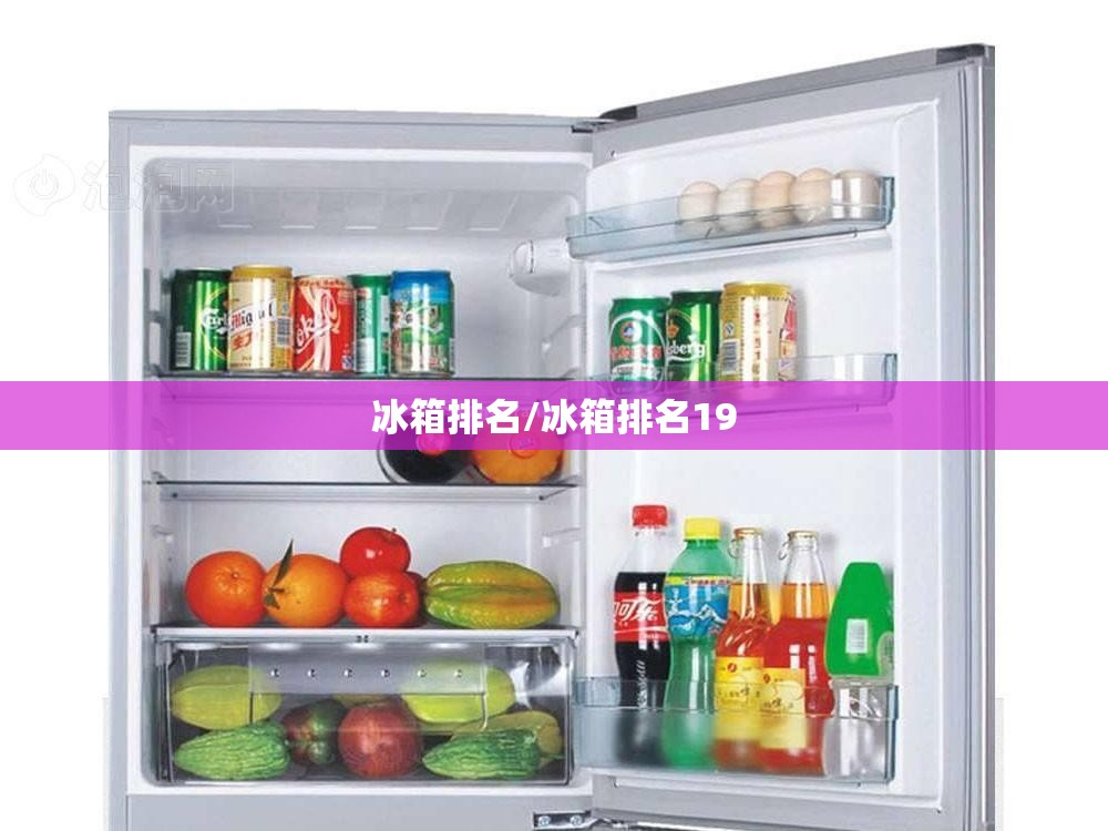 冰箱排名/冰箱排名19