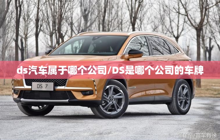 ds汽车属于哪个公司/DS是哪个公司的车牌