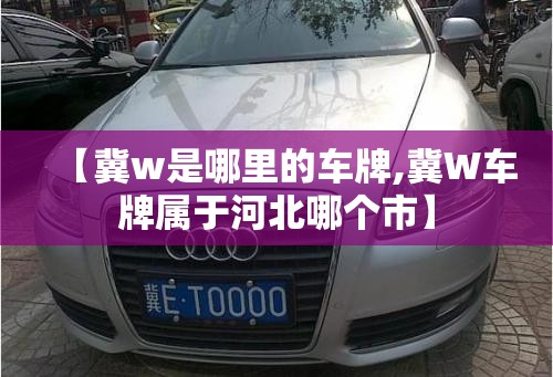【冀w是哪里的车牌,冀W车牌属于河北哪个市】