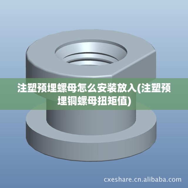 注塑预埋螺母怎么安装放入(注塑预埋铜螺母扭矩值) 注塑预埋螺母怎么安装放入(注塑预埋铜螺母扭矩值)