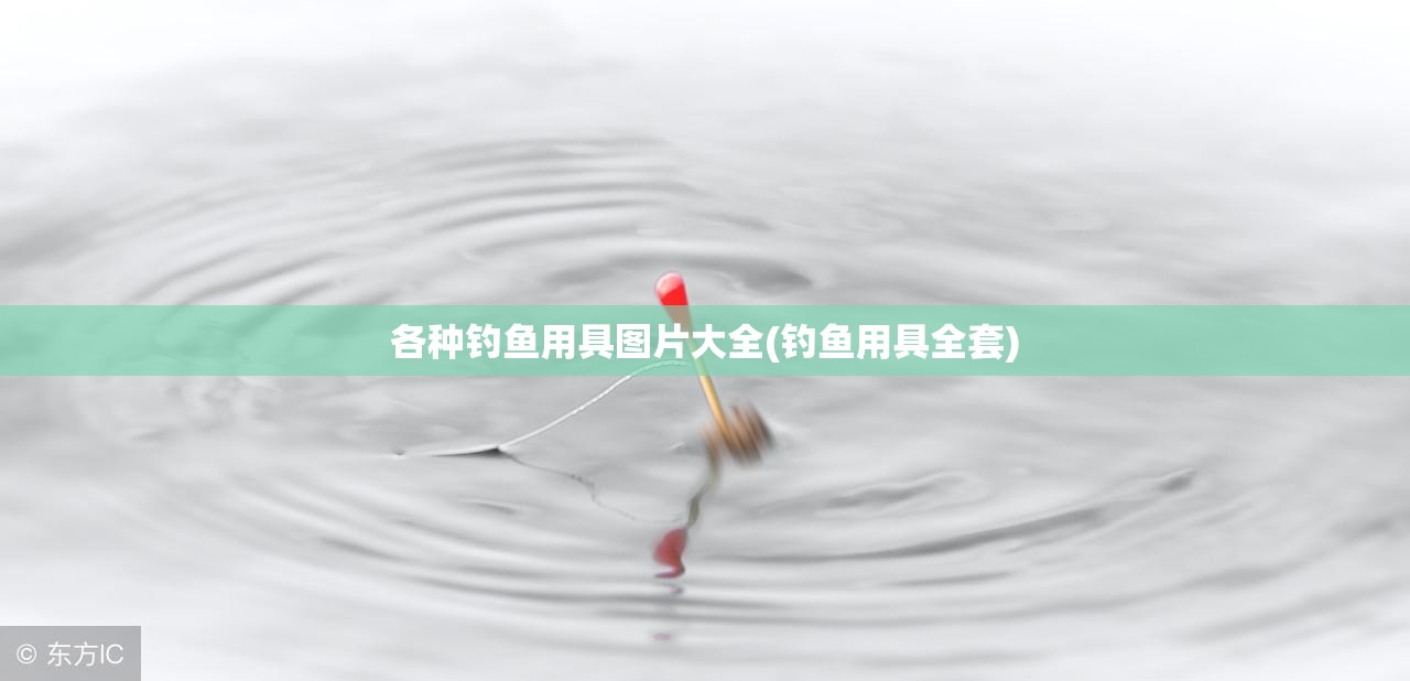 各种钓鱼用具图片大全(钓鱼用具全套) 各种钓鱼用具图片大全(钓鱼用具全套)