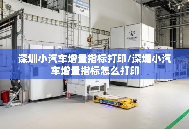 深圳小汽车增量指标打印/深圳小汽车增量指标怎么打印