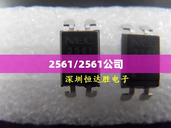 2561/2561公司 2561/2561公司