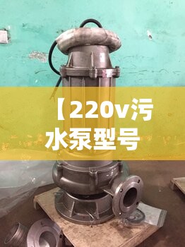 【220v污水泵型号大全,220v污水泵型号一览表】 【220v污水泵型号大全,220v污水泵型号一览表】