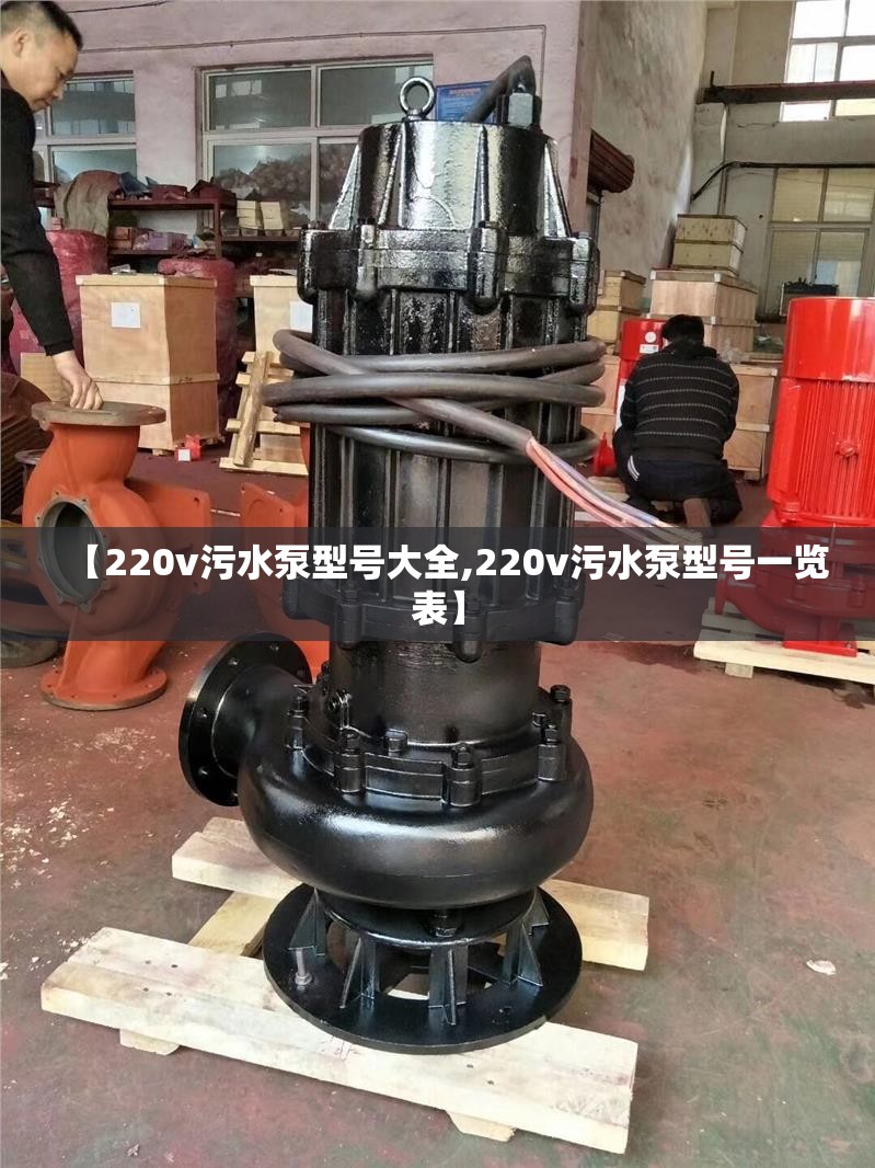 【220v污水泵型号大全,220v污水泵型号一览表】 【220v污水泵型号大全,220v污水泵型号一览表】