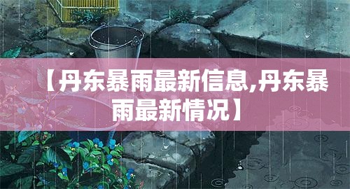 【丹东暴雨最新信息,丹东暴雨最新情况】