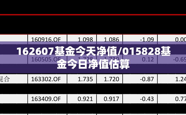162607基金今天净值/015828基金今日净值估算 162607基金今天净值/015828基金今日净值估算