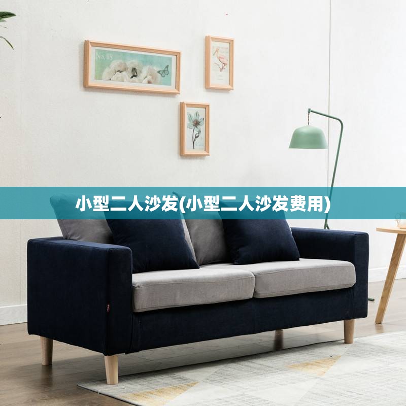 小型二人沙发(小型二人沙发费用)