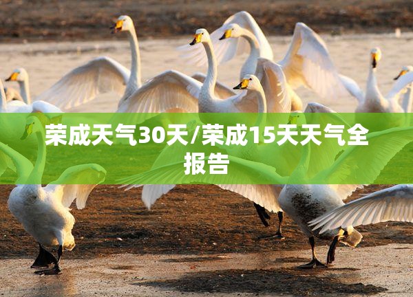 荣成天气30天/荣成15天天气全报告 荣成天气30天/荣成15天天气全报告