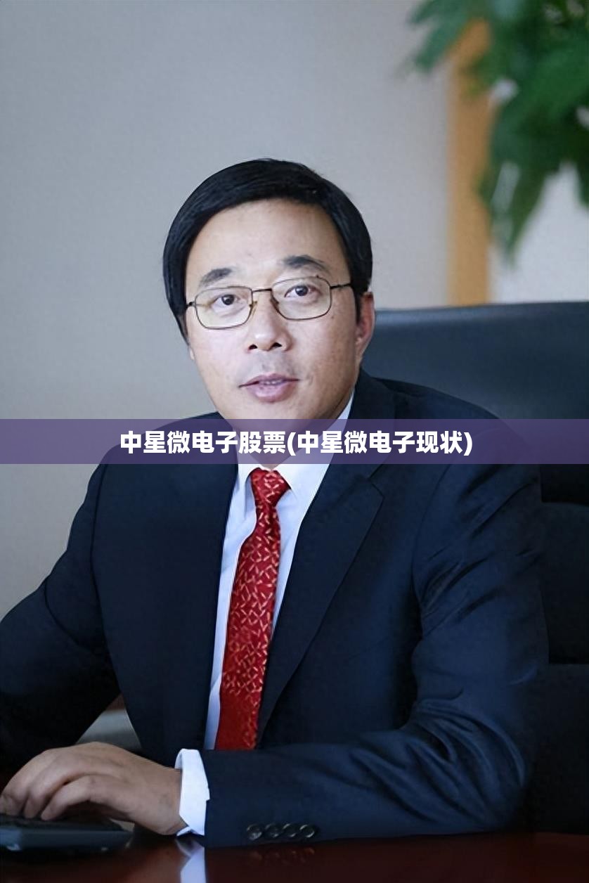 中星微电子股票(中星微电子现状)