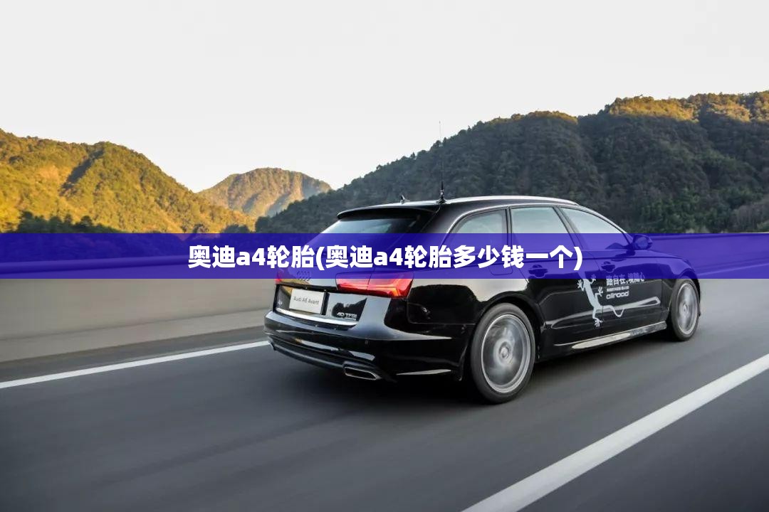 奥迪a4轮胎(奥迪a4轮胎多少钱一个)