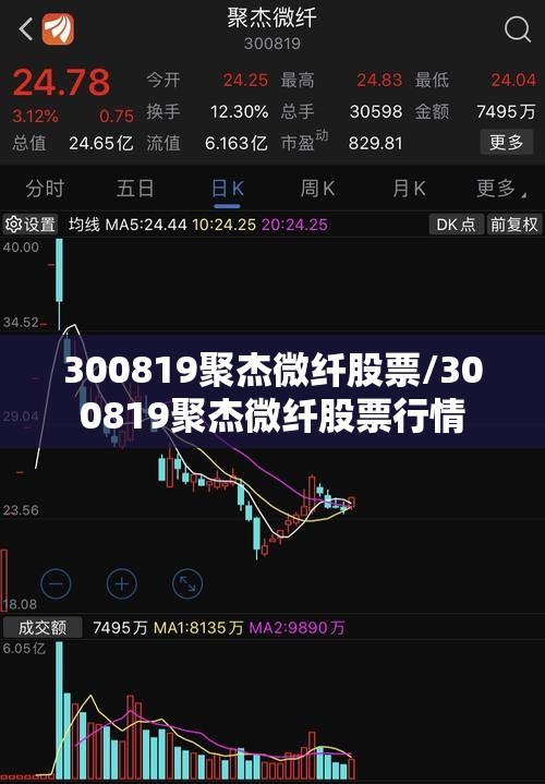 300819聚杰微纤股票/300819聚杰微纤股票行情