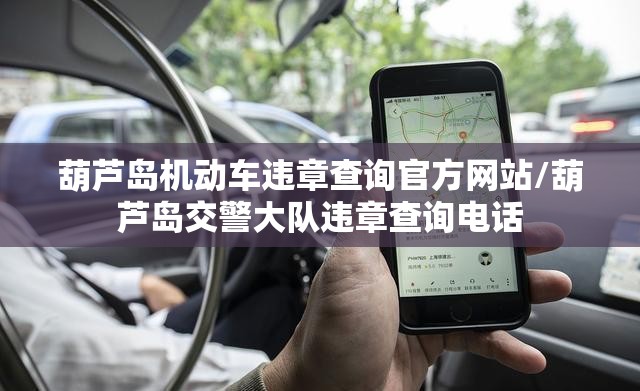 葫芦岛机动车违章查询官方网站/葫芦岛交警大队违章查询电话