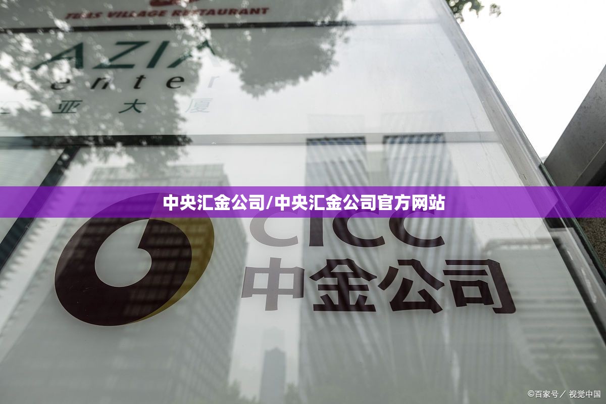 中央汇金公司/中央汇金公司官方网站 中央汇金公司/中央汇金公司官方网站