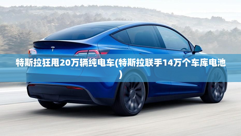 特斯拉狂甩20万辆纯电车(特斯拉联手14万个车库电池)