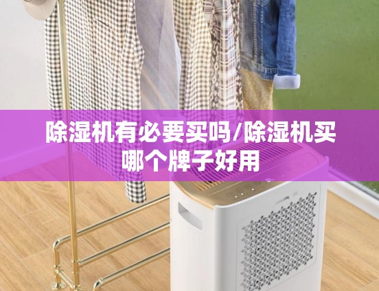 除湿机有必要买吗/除湿机买哪个牌子好用