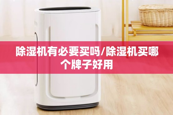 除湿机有必要买吗/除湿机买哪个牌子好用