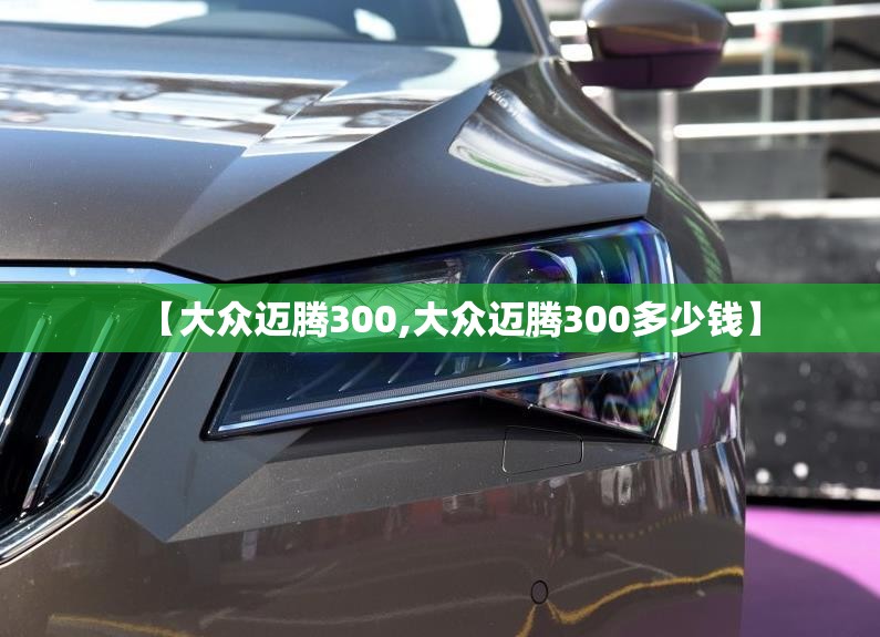【大众迈腾300,大众迈腾300多少钱】