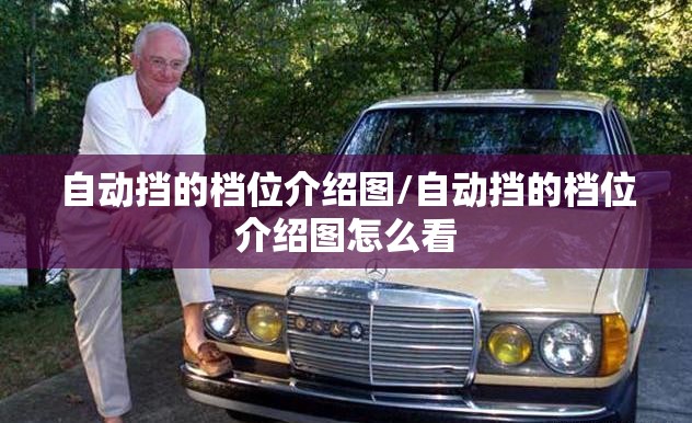 自动挡的档位介绍图/自动挡的档位介绍图怎么看