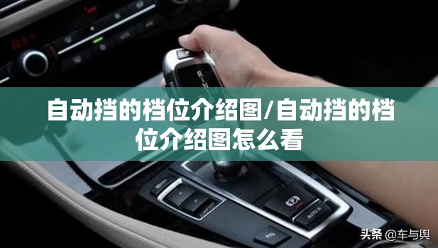 自动挡的档位介绍图/自动挡的档位介绍图怎么看