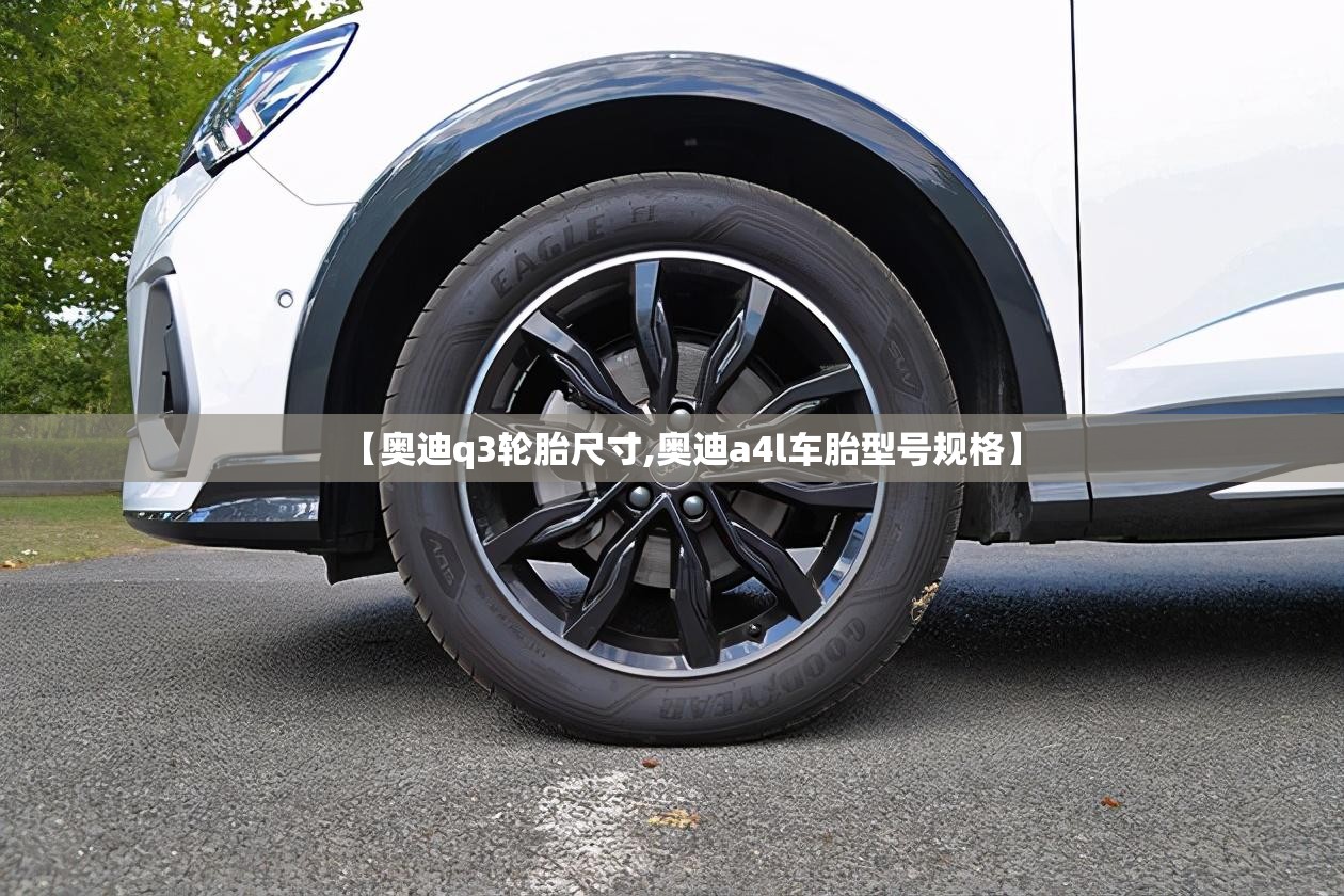 【奥迪q3轮胎尺寸,奥迪a4l车胎型号规格】 【奥迪q3轮胎尺寸,奥迪a4l车胎型号规格】