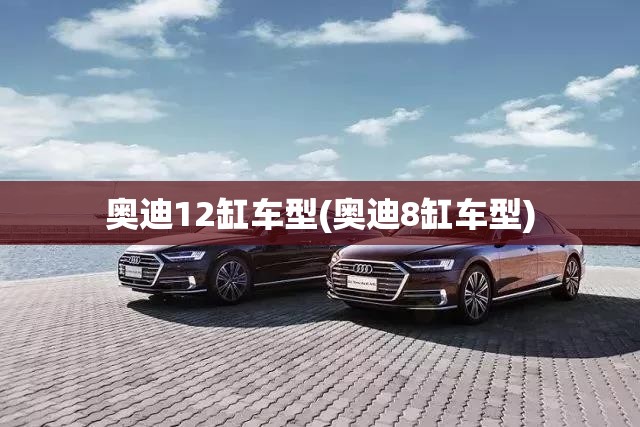 奥迪12缸车型(奥迪8缸车型) 奥迪12缸车型(奥迪8缸车型)
