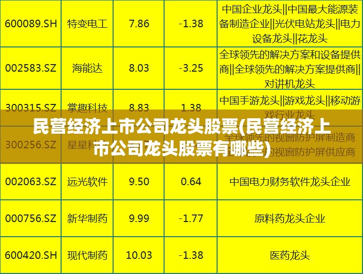 民营经济上市公司龙头股票(民营经济上市公司龙头股票有哪些)