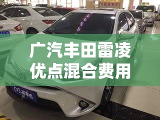 广汽丰田雷凌优点混合费用/广汽丰田雷凌双擎油电混合费用 广汽丰田雷凌优点混合费用/广汽丰田雷凌双擎油电混合费用